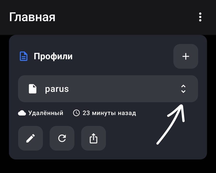 Строка выбора профиля parus